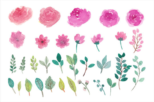 Watercolor flowers isolated element for wedding invitation decoration