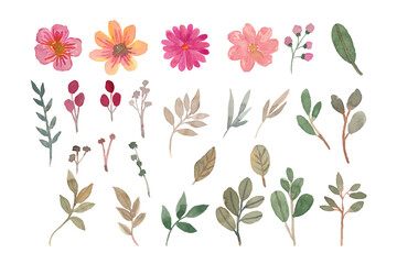 Watercolor flowers isolated element for wedding invitation decoration