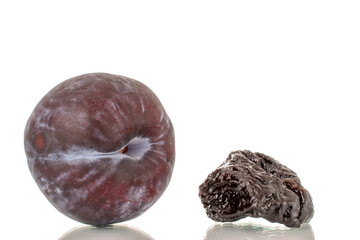 One ripe fresh black plum and one prunes, close-up, isolated on a white background.