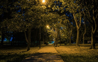 Summer night city park. Wooden benches, street lights, and green