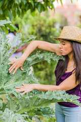 Fototapeta premium Pest plant leaf disease in agriculture. Parasite pesticide free in organic food. mid Hispanic woman