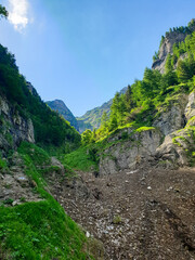 Fototapeta na wymiar mountain river in the mountains, Caraiman Valley, Bucegi Mountains, Romania 