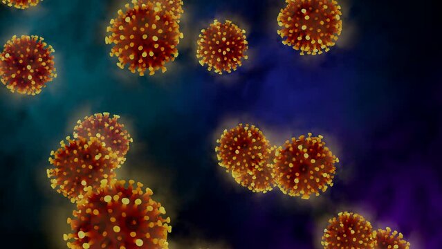 Coronavirus disease COVID-19 outbreak. Microscopic view of infectious SARS-CoV-2 omicron arcturus virus cells. 3D endless loop animation