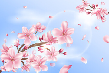 Cherry Blossom Background - 2