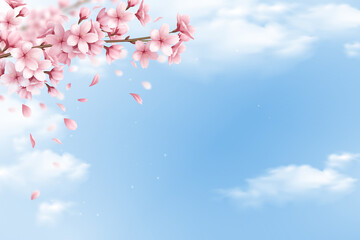 Obraz na płótnie Canvas Cherry Blossom Background - 4