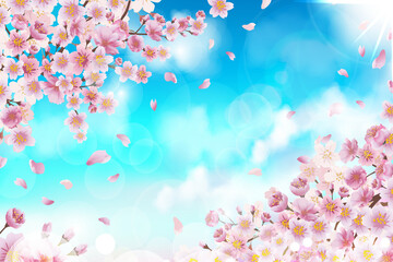 Cherry Blossom Background - 27