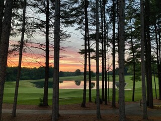 sunset through the pines on the golf course