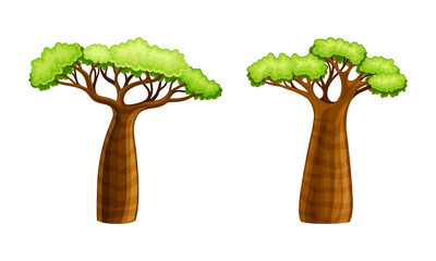 Baobab trees, powerful African tree cartoon vector illustration