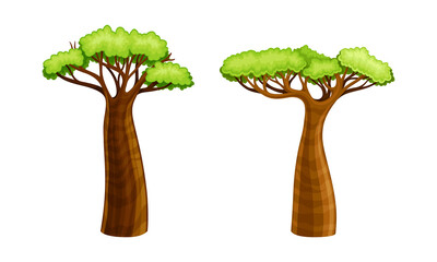 Powerful baobab trees set, African plants with green leaves cartoon vector illustration