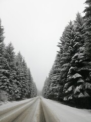 zaśnieżona droga przez las © Marta