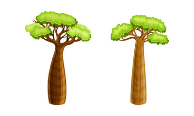 Powerful African baobab trees with green leaves set cartoon vector illustration