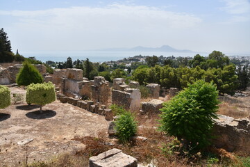 Fototapeta na wymiar Carthage, Tunis, Tunisia, ruin, historic 