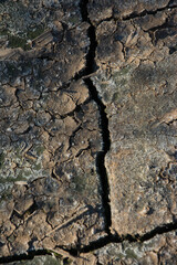 texture of cracked soil