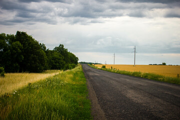 Road with a dark rainy sky.