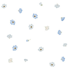 tiny blue flowers watercolor seamless Pattern pastel baby blue delicate romantic natural organic nature