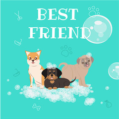Dog Grooming Salon Poster Illustration . Icon banner illustrations showing animal charity, donation, volunteering, adoption. Pet shop . Veterinary clinic banners set.