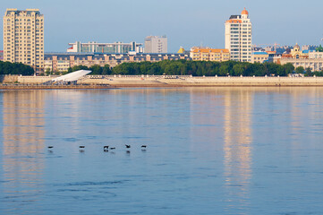 View of China from Russia across the Amur River on a summer morning. A flock of cormorant birds are flying over calm water. - obrazy, fototapety, plakaty