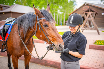 Fototapeta premium Lovely young woman wearing helmet stroking to her brown horse