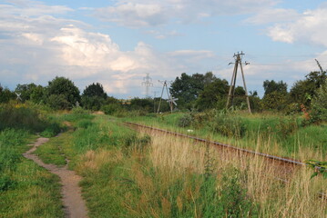 view of wasteland, road and electricity poles, a lot of bushes, sunlight © TK_Office