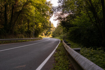 curvy mountain road through the forest. relaxing rural vacation.