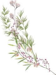 modern wildflower floral composition lose foliage countryside meadow flower bouquet decoration