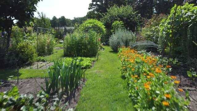 Kitchen garden, vegetable garden Aerial