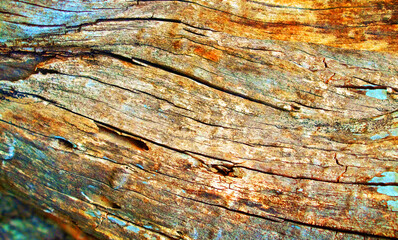 textured old wood.  Arts detail of material