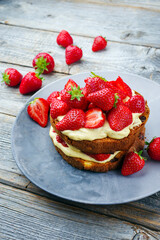 Traditionelles geröstetes italienisches Panettone Tiramisu mit Vanille Pudding und Erdbeeren serviert als close-up in einer Design Teller