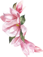 pink magnolia flower blossom bouquet composition leaves bamboo watercolor wreath