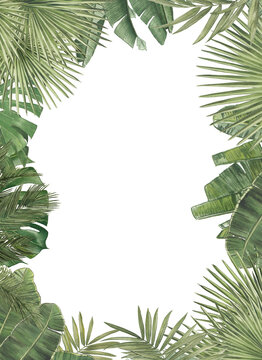 tropical palm floral leaf green hawaii beach monstera banana palm leaves pink hibiscus border frame