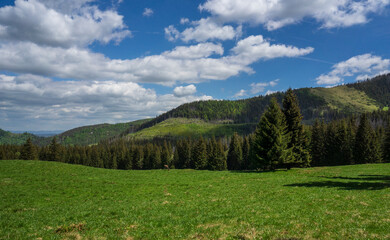 Great landscape in the Kalatowki Glade. Western Tatras.