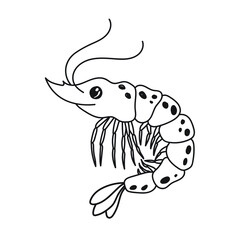 Black shrimp. contour doodle drawing of a marine crustacean. Cute hand-drawn drawing. Stock image linear art