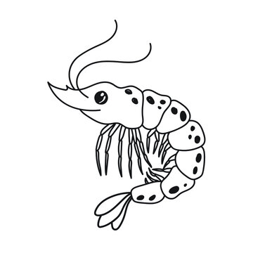 Black shrimp. contour doodle drawing of a marine crustacean. Cute hand-drawn drawing. Stock image linear art