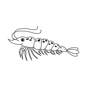 Black shrimp. contour doodle drawing of a marine crustacean. Cute hand-drawn drawing. Stock image linear art