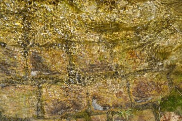 Alte gelb-braune Backsteinfläche unter Wasser bei Sonne im Sommer