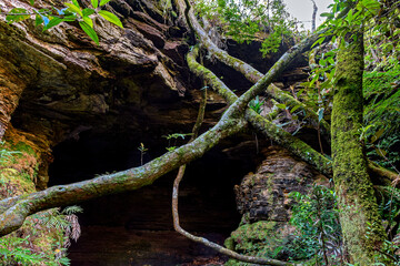 Cave entrance amid the rocks and vegetation of the rainforest in Carrancas state of Minas Gerais, Brazil