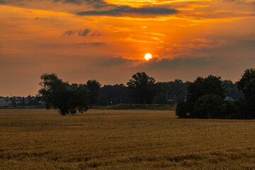 Beautiful cloudy sunrise over big yellow field and trees of forest