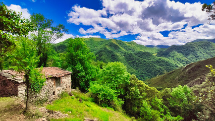Fototapeta premium Cabin and wood near Almurfe village, Belmonte de Miranda municipality, Asturias, Spain