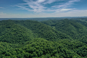 Fototapeta na wymiar Green Forested Mountains under a Blue Sky