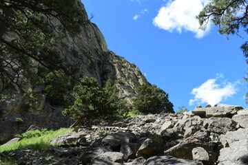 Devils tower in wyoming 
