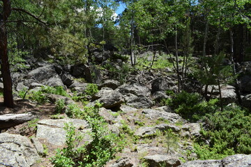 Field full of boulders in Wyoming