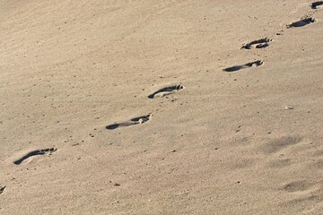 Fototapeta na wymiar 'Barefoot human tracks along sandy beach in early morning sun'
