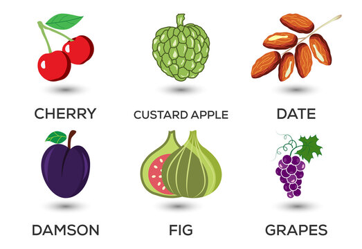 Set of fruits. Different colorful fruits. Fresh food, healthy eating concept. Vector illustration