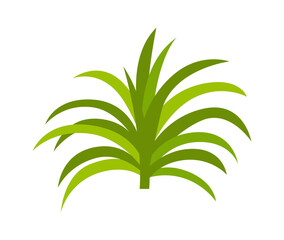 Fototapeta na wymiar Palm Tree leaf. Vector illustration
