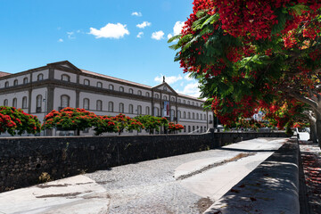 Fototapety na wymiar - Fototapeta24.pl