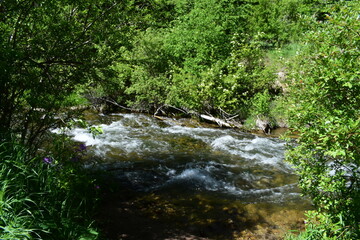 Fototapeta na wymiar Spearfish creek in South Dakota
