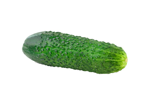cocumber isolated on white background