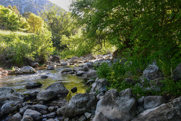 River rocks in  Logan Canyon, Cache Valley, Utah © Claire