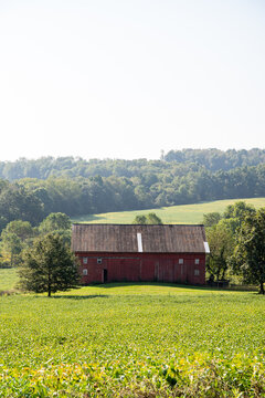 Red barn beside trees in a field | Amish country, Ohio