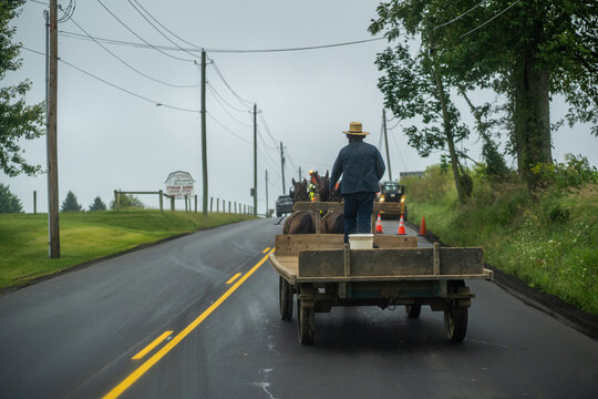 Amish man driving a horse drawn wagon on the road in Holmes county, Ohio, near Mt. Hope